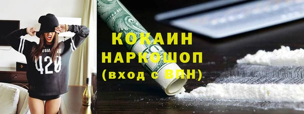 твердый Богданович