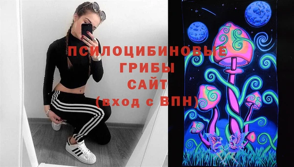 твердый Богданович