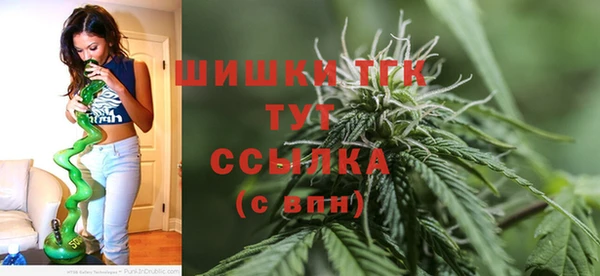 дмт Богородск